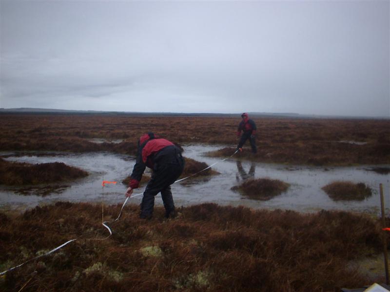 Bog Condition Assessment on an SAC