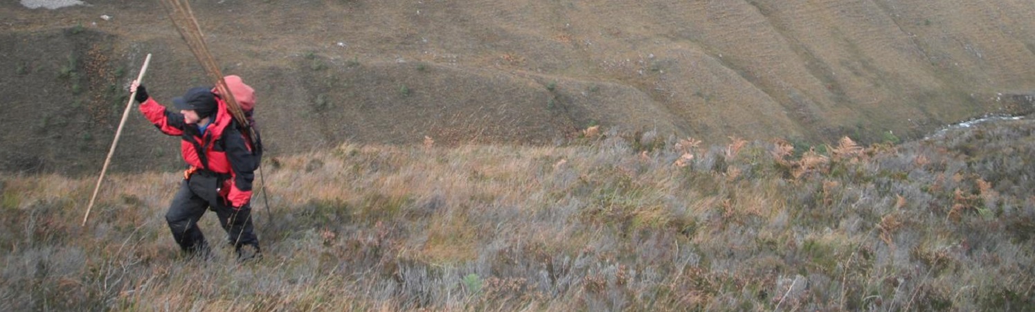 Field work