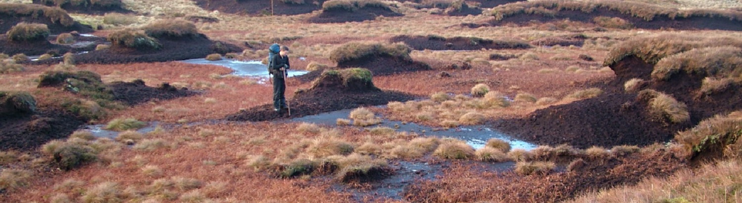 Peatbogs