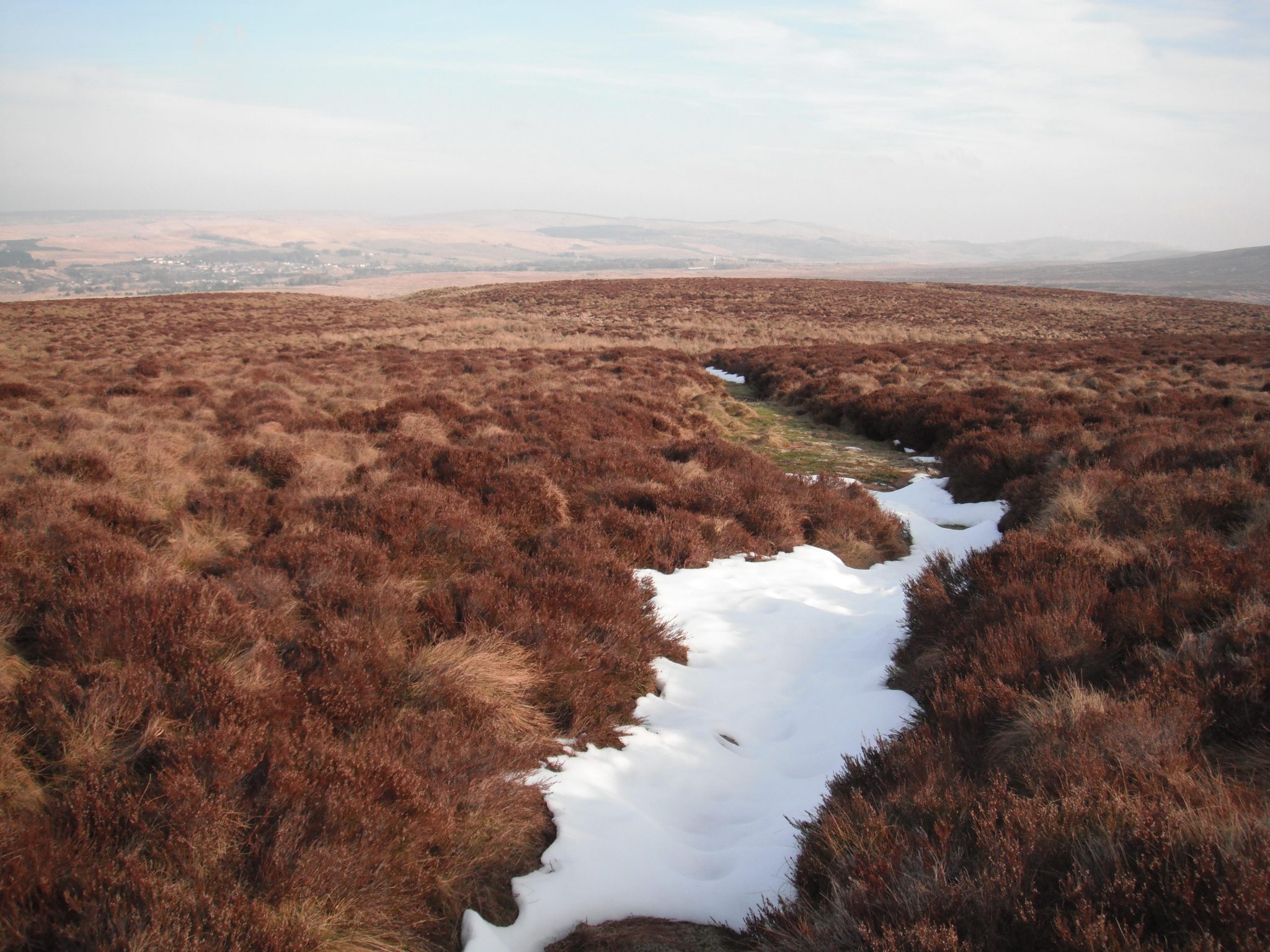 Snow in drain