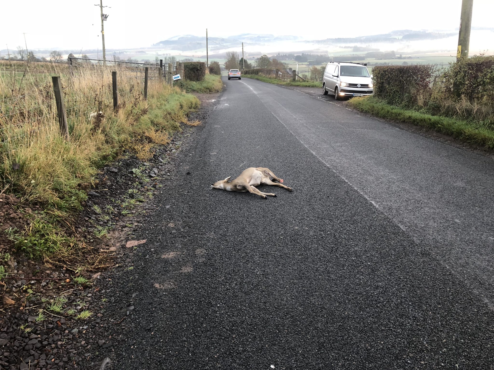 Deer monitoring on Scotland’s National Nature Reserves