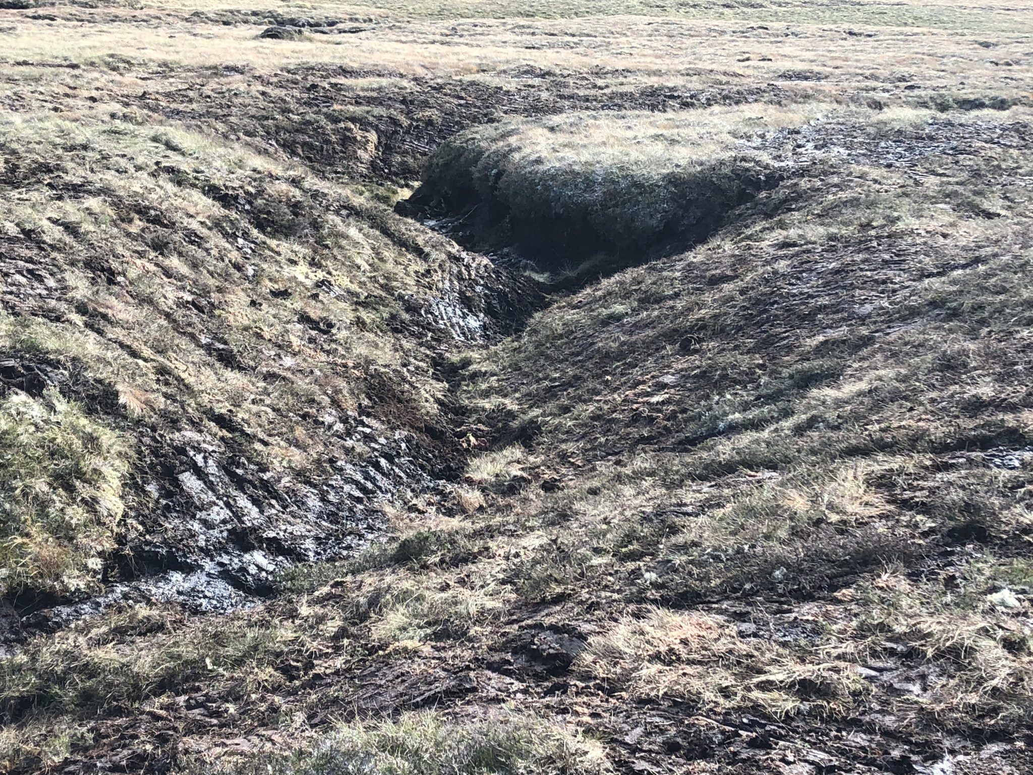 Monadhliath Peatland Restoration – update 2