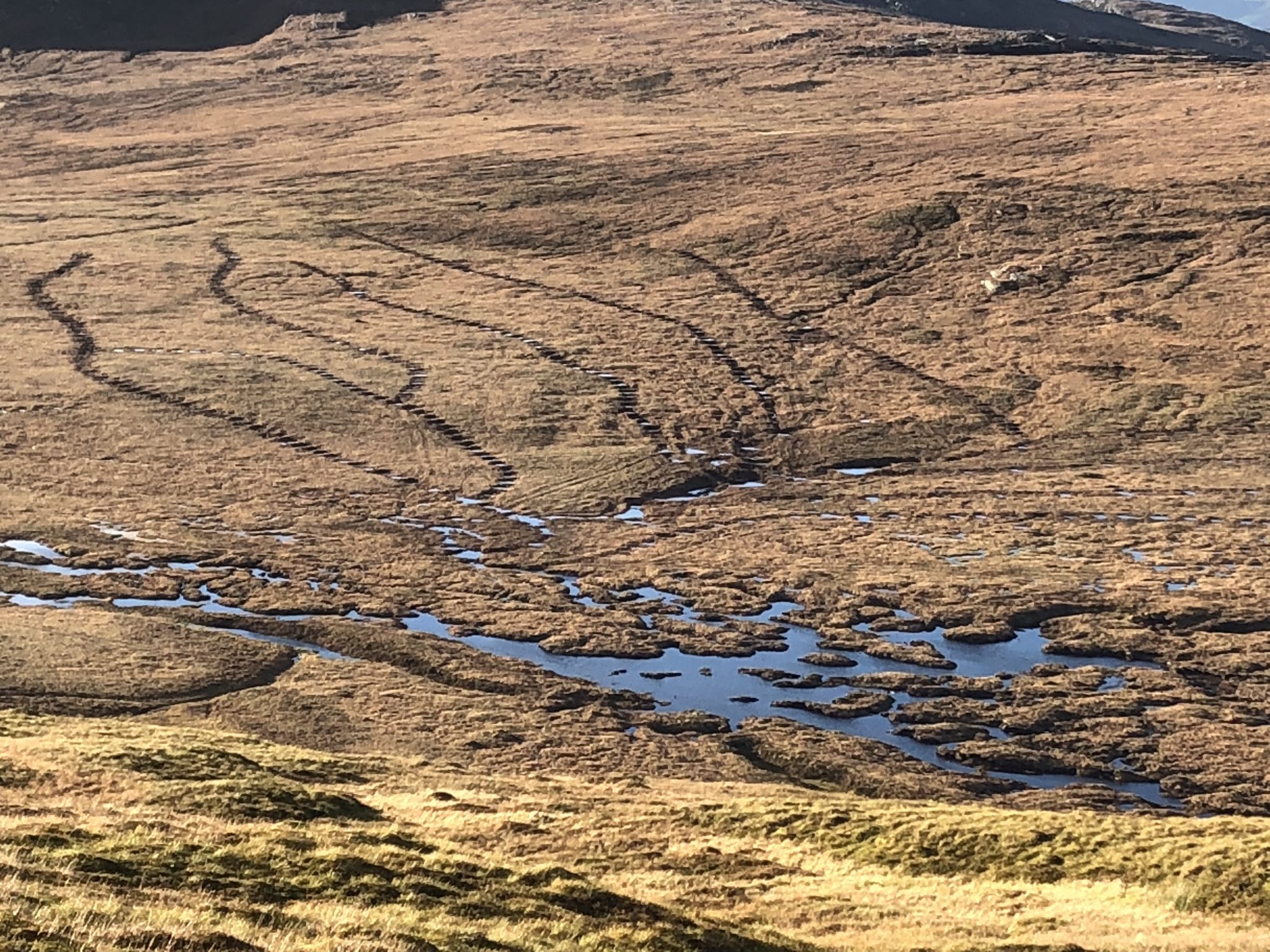 Re-wetted gullies and blocked drains