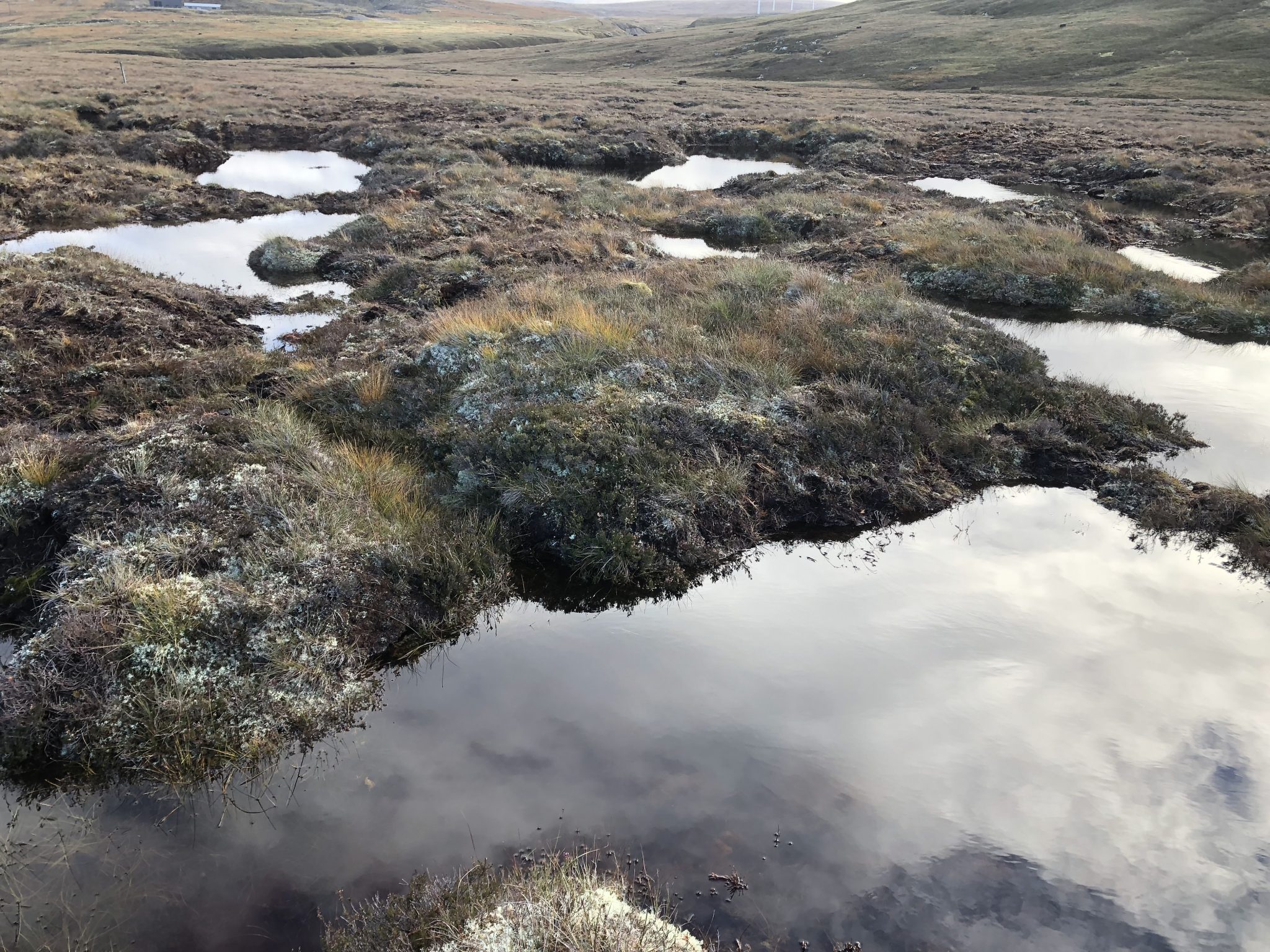 Peat Action Monadhliath – update