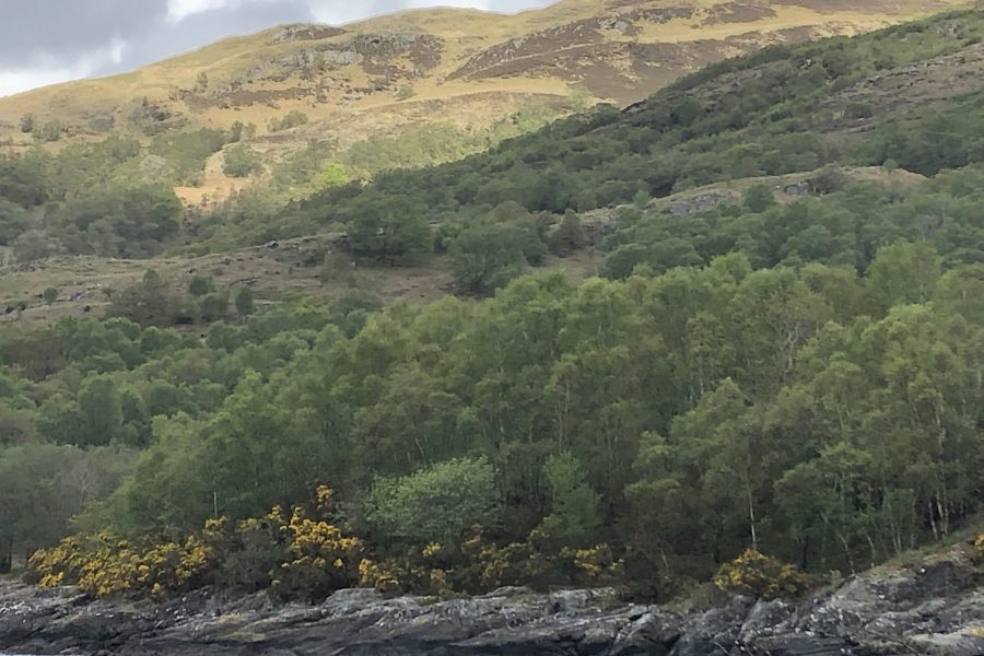 Highland seashore to summit
