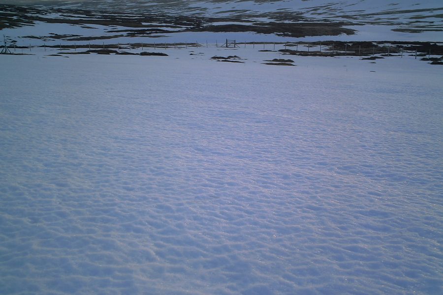 Trial site - very snowy