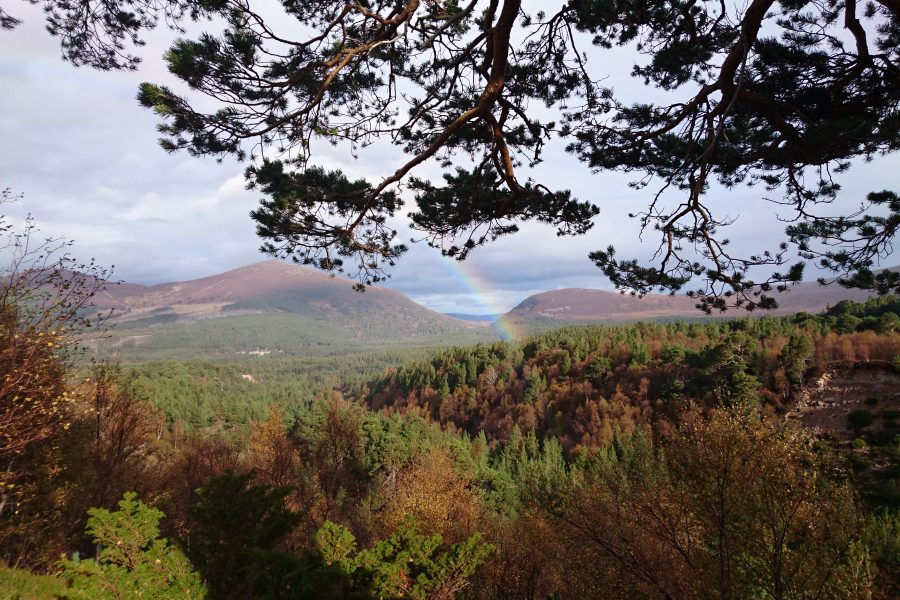 Cairngorms view