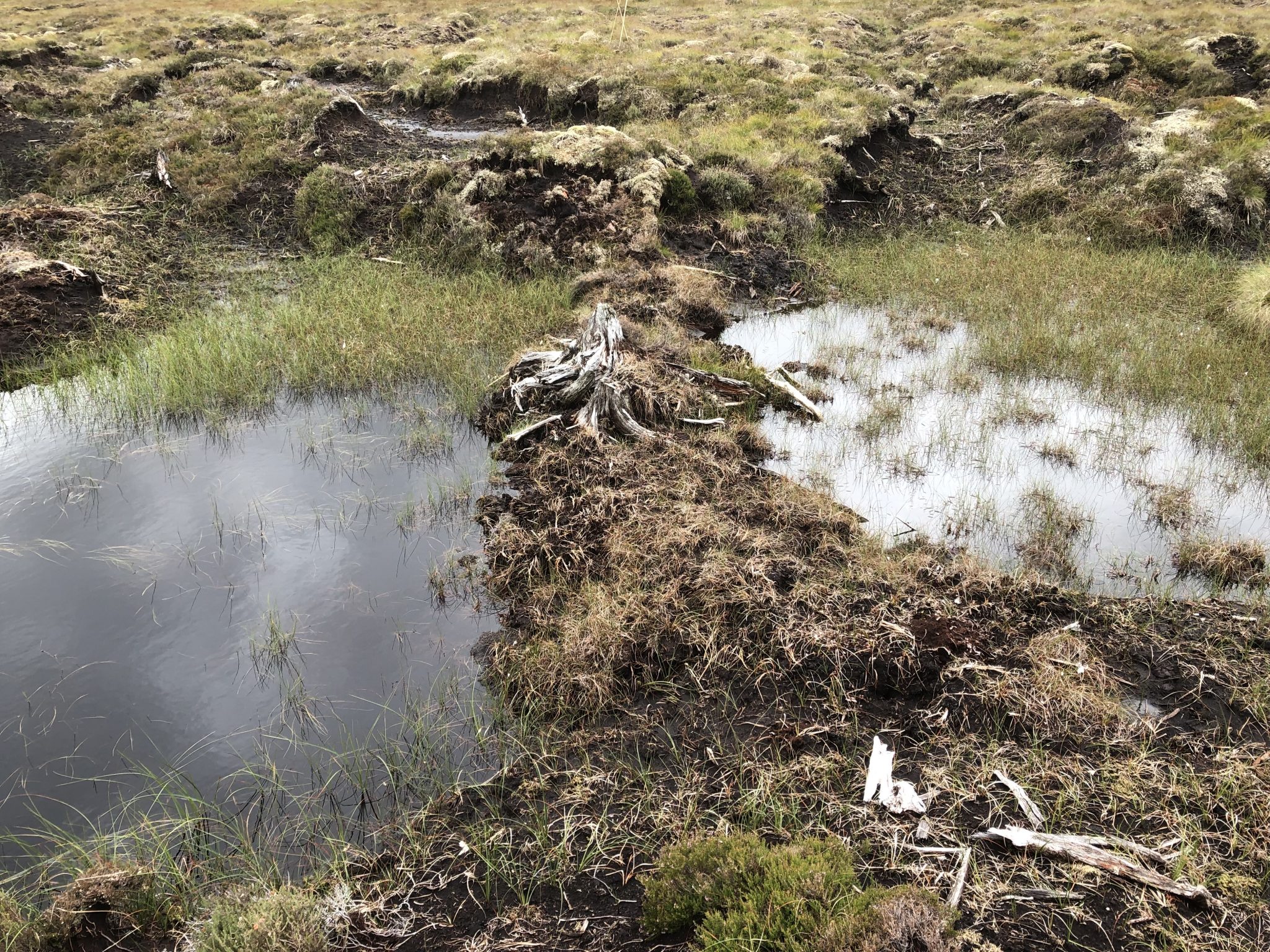 Monadhliath Peat Action progressing well