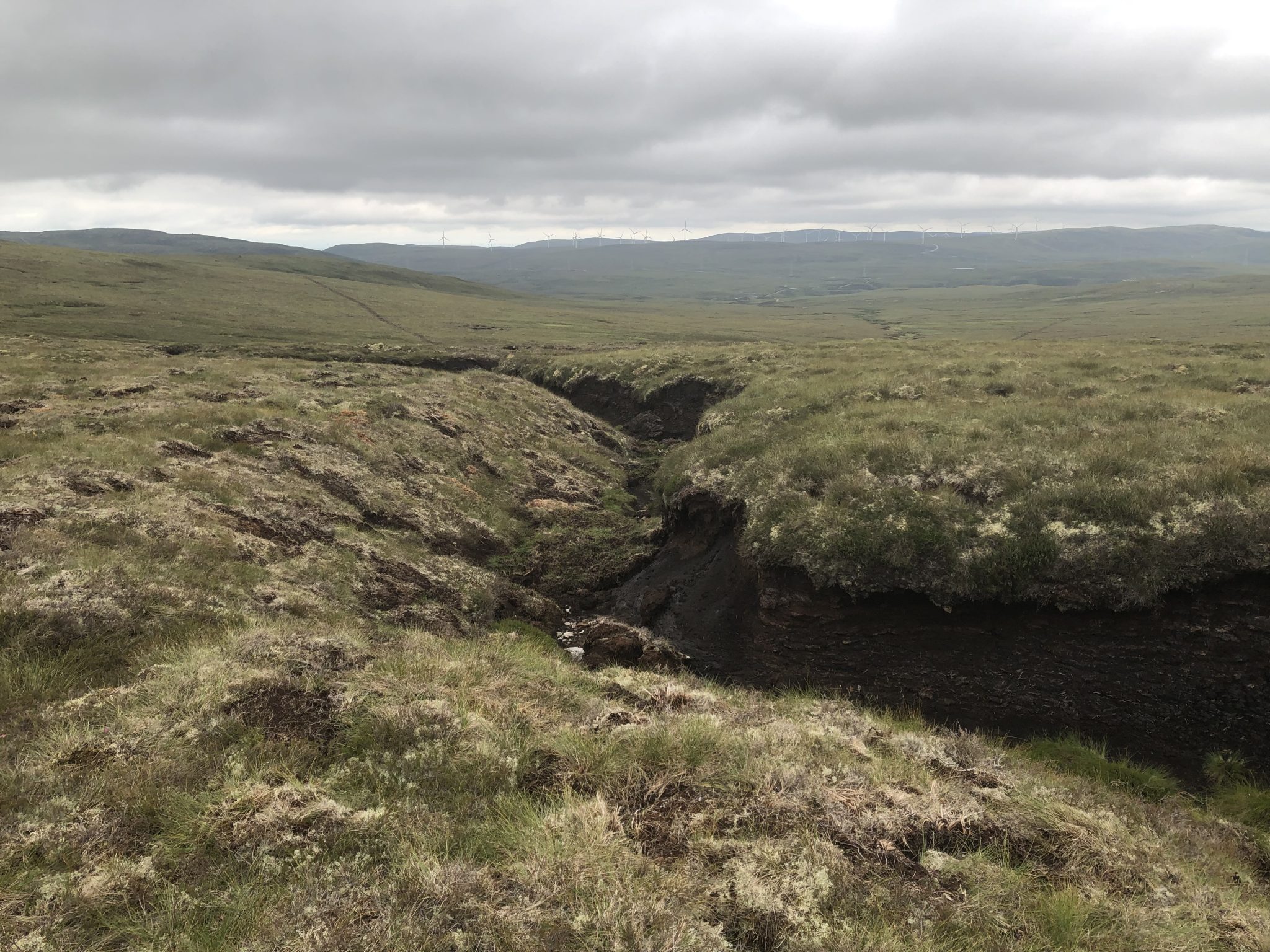 Peatland Action up and running again