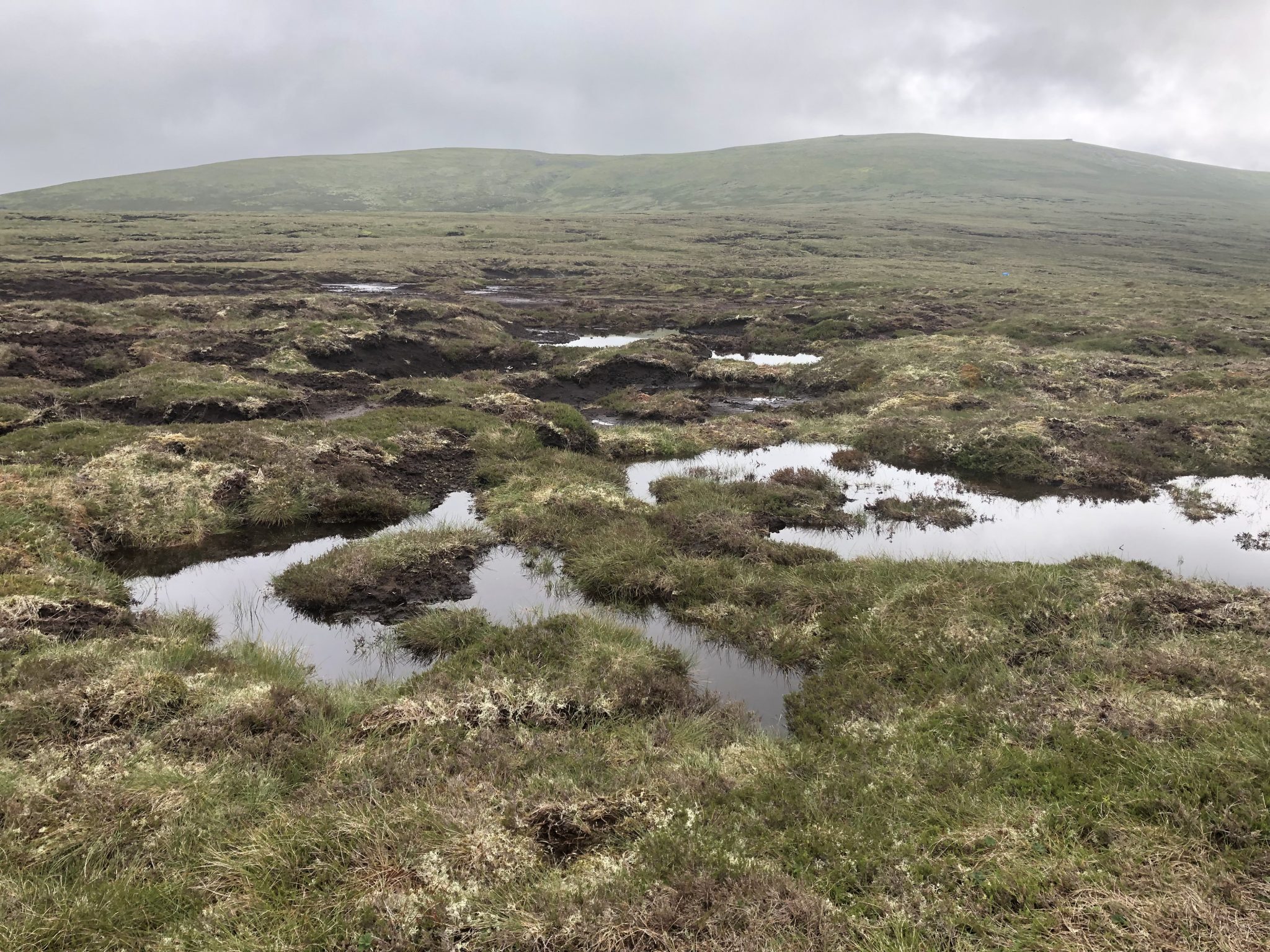 Monadhliath Peat Action update