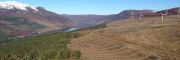 Windfarm
